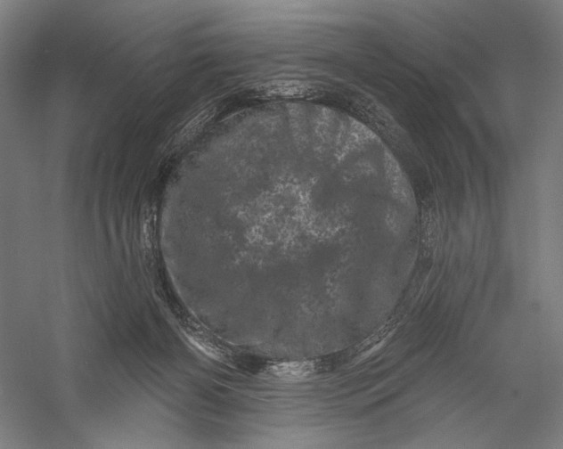 X0000055970126200509091454