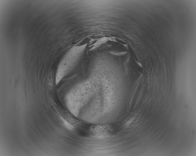 X0000055970129200509091454