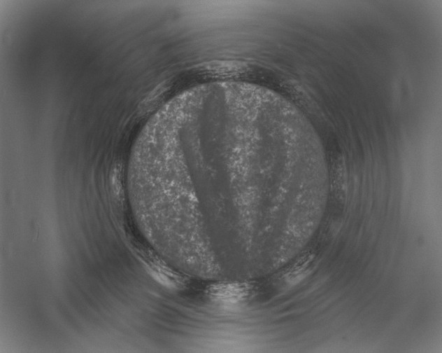X0000055970131200509091454