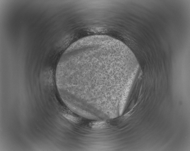X0000055970132200509091454