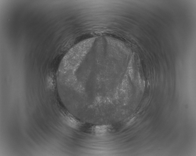 X0000055970134200509091454