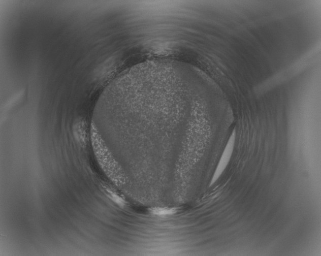 X0000055970135200509091454