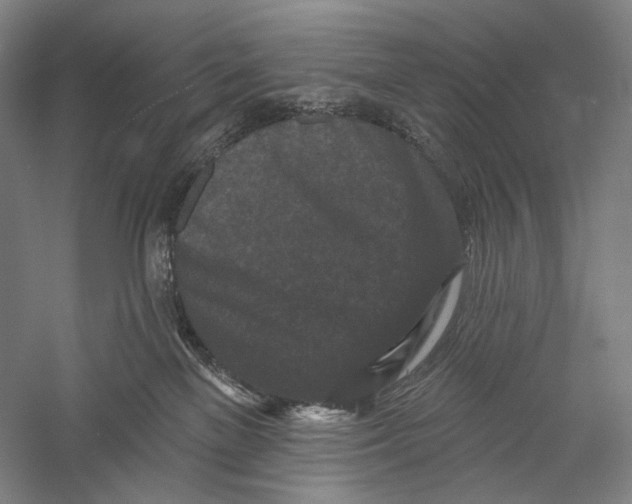 X0000055970137200509091454