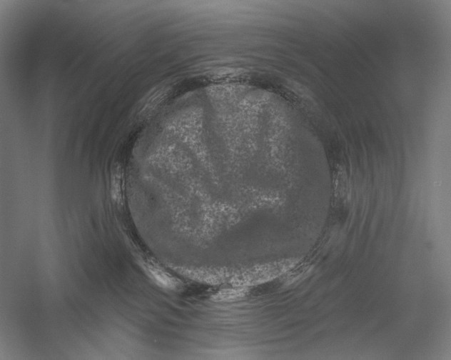 X0000055970138200509091454