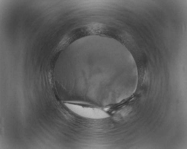 X0000055970139200509091454