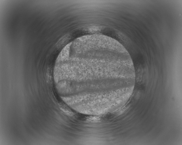 X0000055970140200509091454