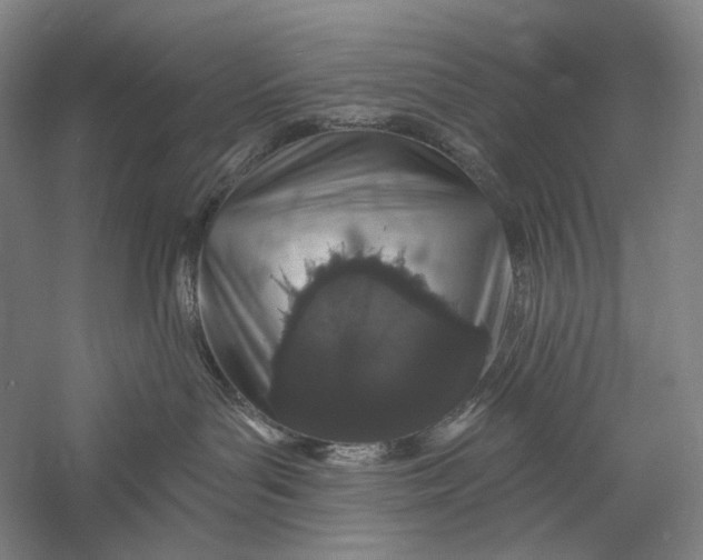 X0000055970143200509091454