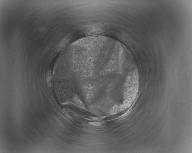 X0000055970144200509091454