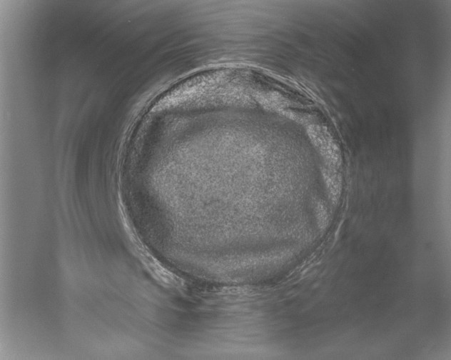 X0000055970145200509091453