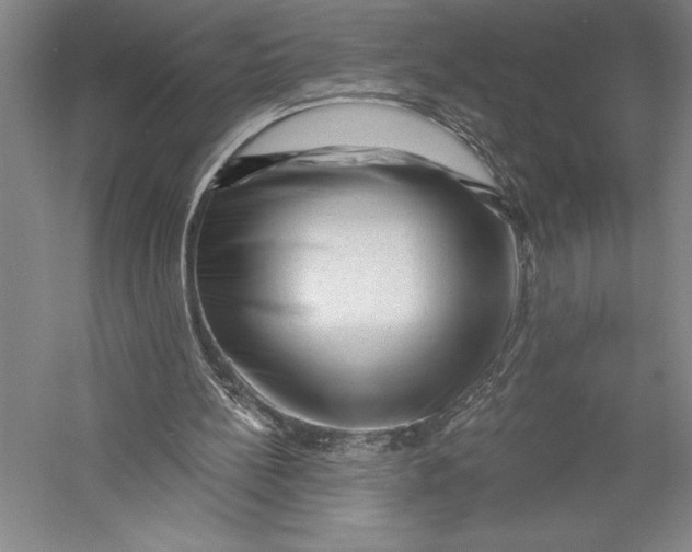 X0000055970148200509091453