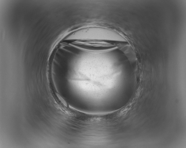 X0000055970152200509091453