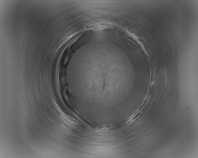 X0000055970154200509091453