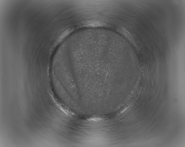 X0000055970159200509091453