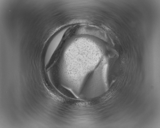 X0000055970160200509091453