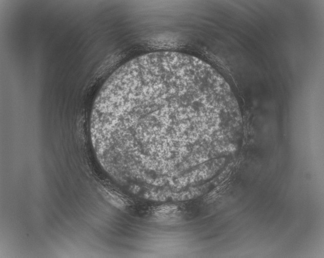 X0000055970162200509091453