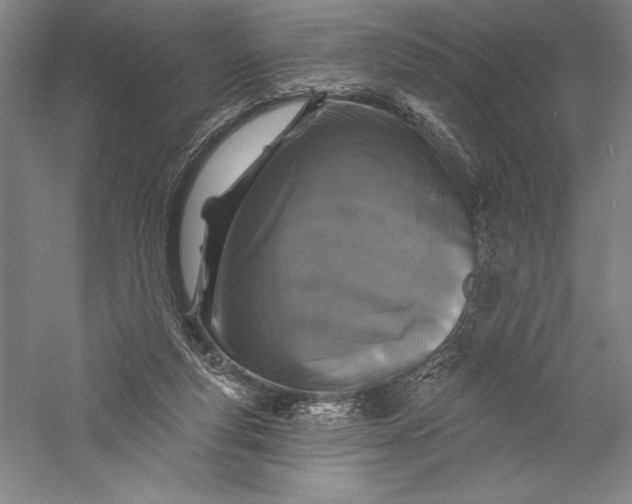 X0000055970163200509091453