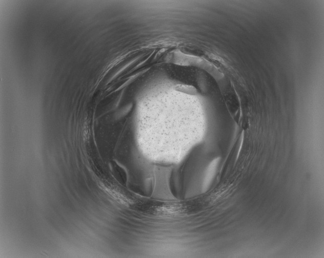 X0000055970164200509091453