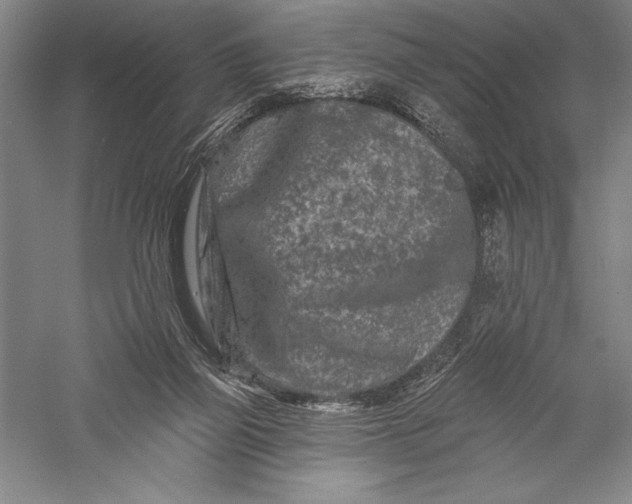 X0000055970165200509091453