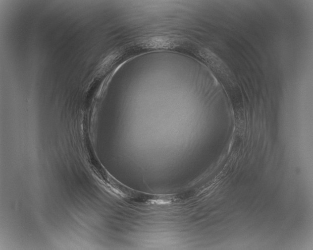 X0000055970167200509091453