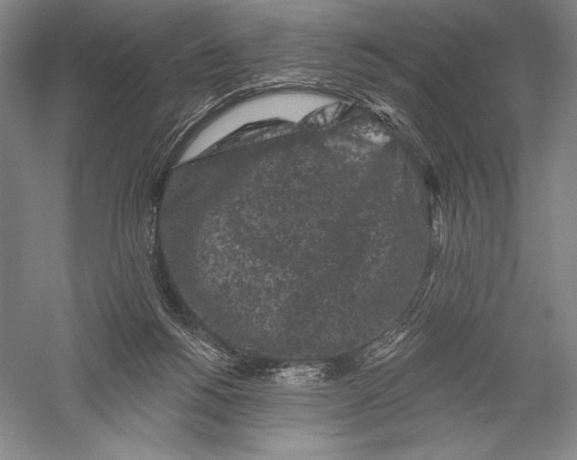 X0000055970168200509091453