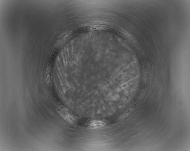X0000055970169200509091453