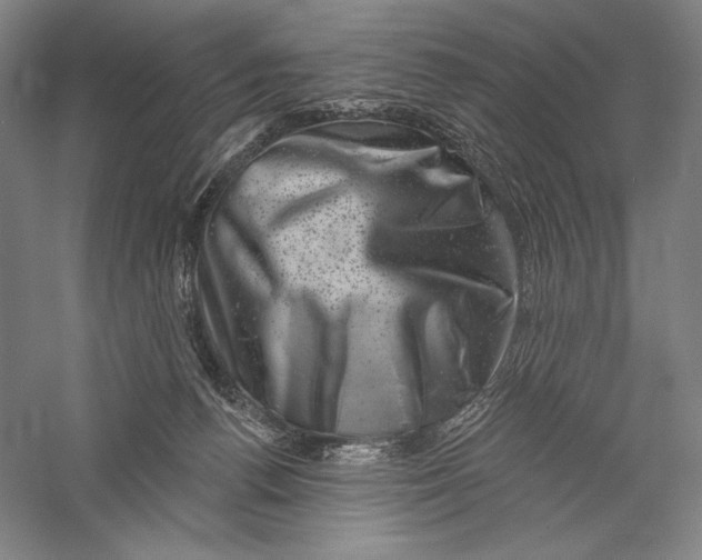 X0000055970176200509091453