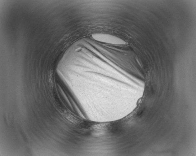 X0000055970178200509091453