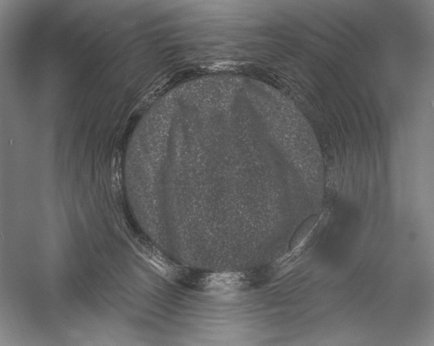 X0000055970179200509091453