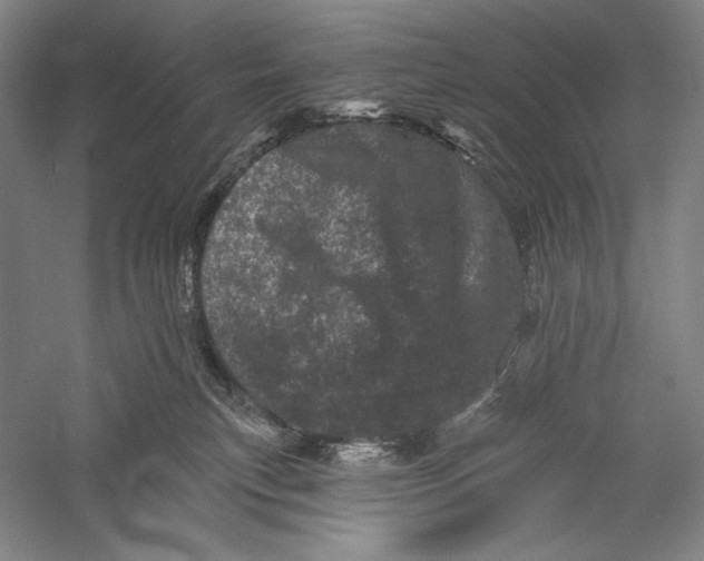 X0000055970183200509091453