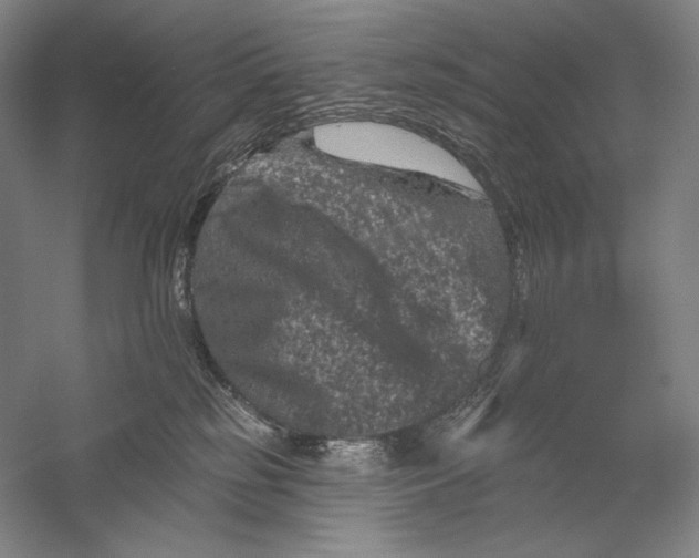 X0000055970185200509091454