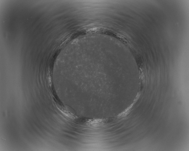 X0000055970186200509091454