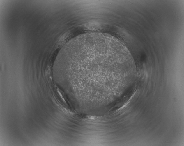 X0000055970187200509091454