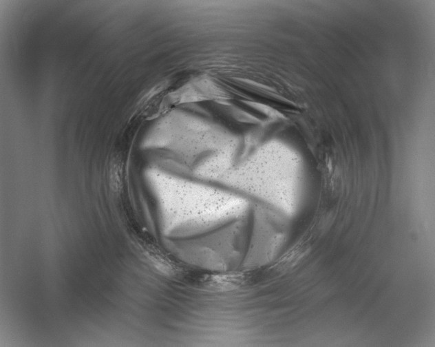 X0000055970188200509091454