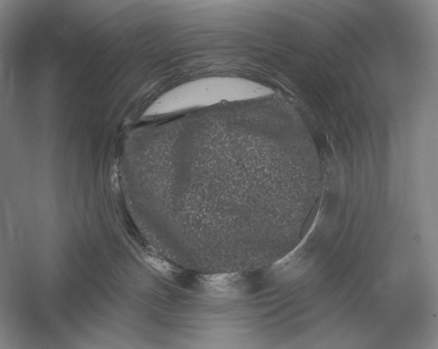 X0000055970191200509091454