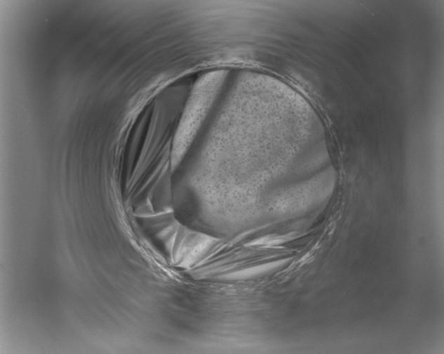 X0000055970193200509091453