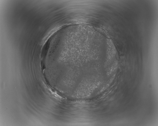 X0000055970194200509091453