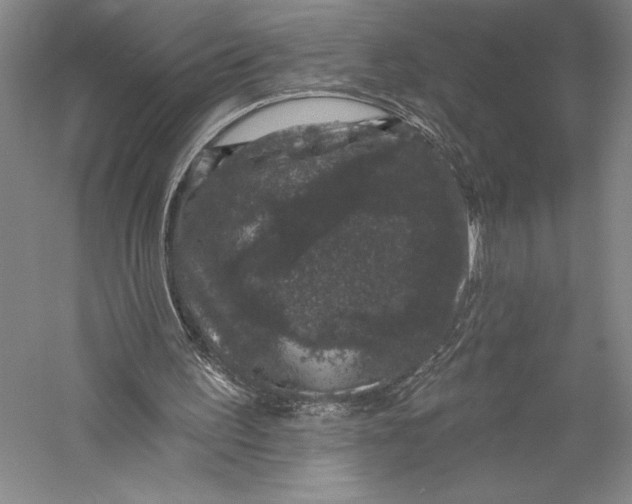 X0000055970195200509091453