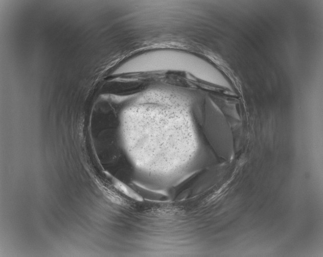 X0000055970201200509091453