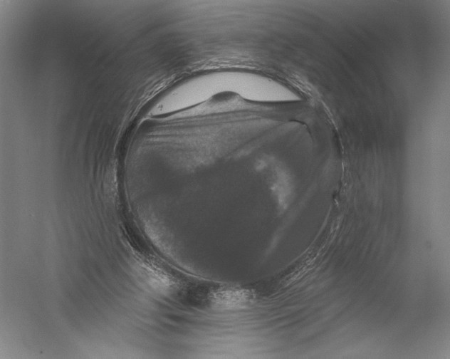 X0000055970202200509091453