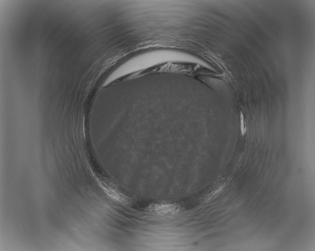X0000055970205200509091453