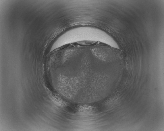X0000055970206200509091453