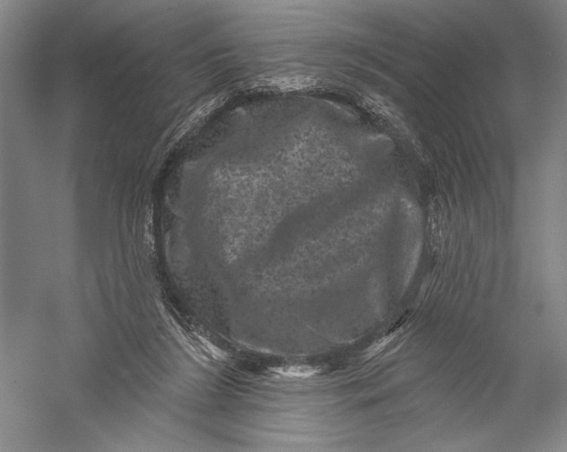 X0000055970212200509091452