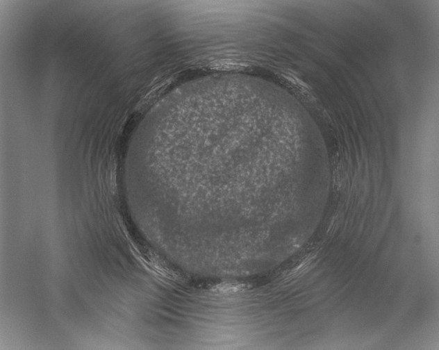 X0000055970213200509091452