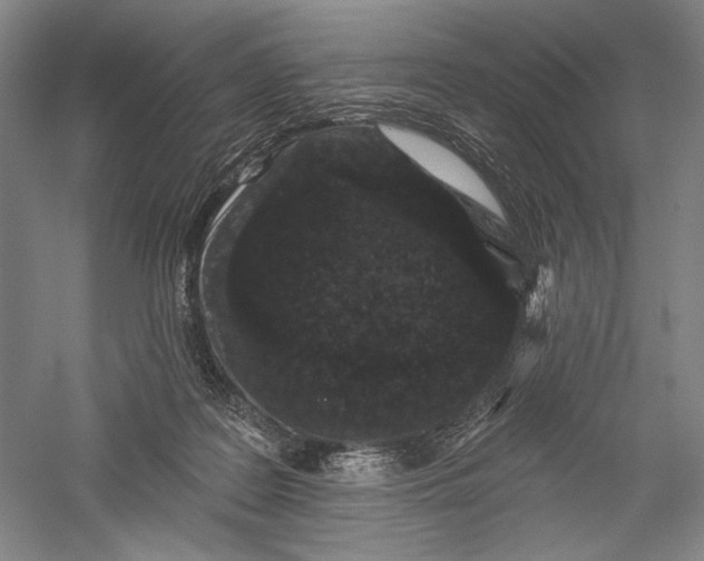 X0000055970219200509091452