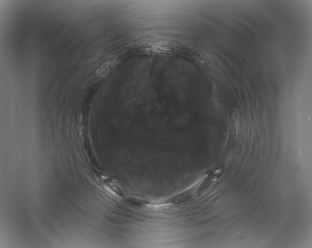 X0000055970223200509091452