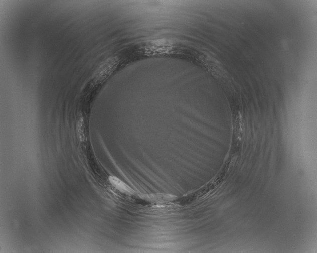 X0000055970224200509091452