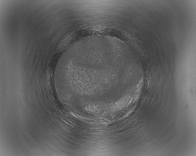 X0000055970225200509091452