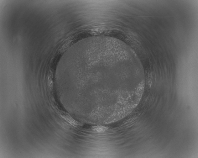 X0000055970226200509091452