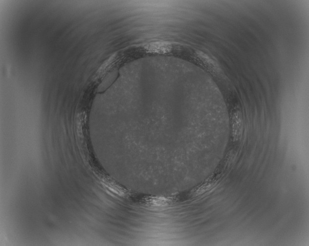 X0000055970229200509091452