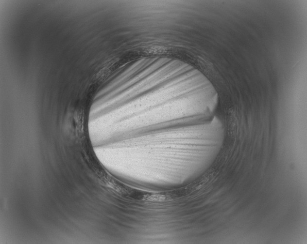 X0000055970230200509091452